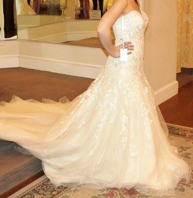 I rang the Bell and Said yes to the dress!! Lets see some of your dresses!!