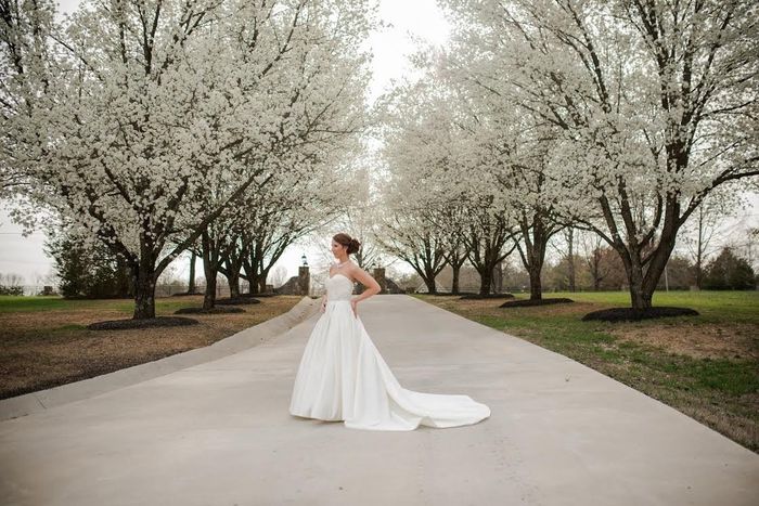 Let me see your: BALL GOWNS
