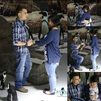 Photos from your actual engagement! - 1