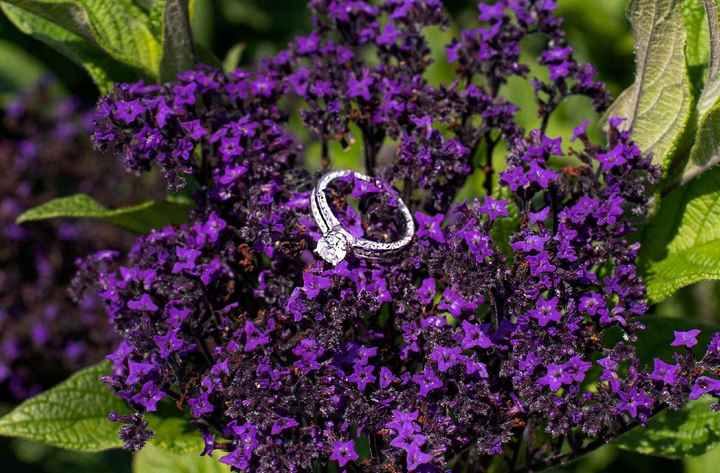 Calling All June 2019 Brides! Let's See Those Rings!! - 1