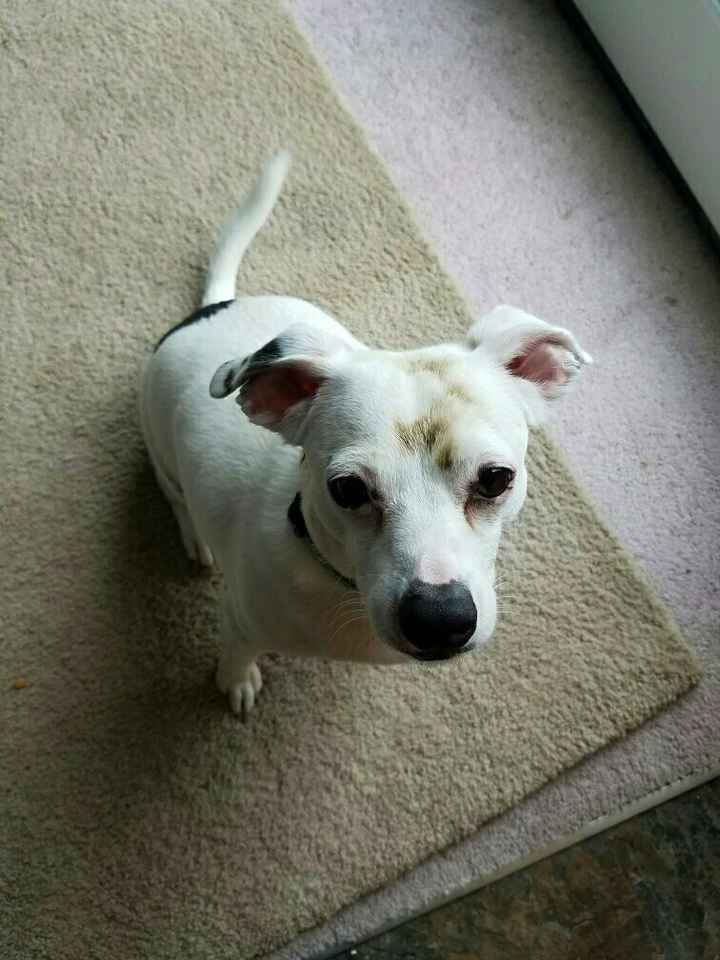 NWR: Bored? Show off your pets!