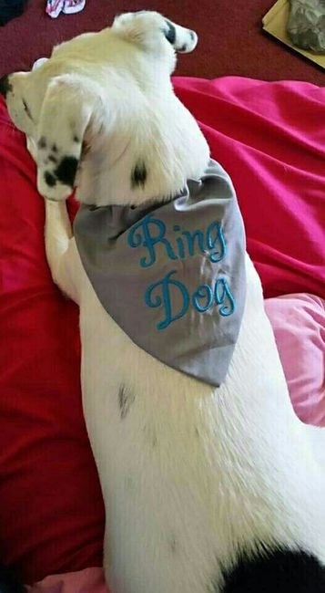 Show me those puppies!