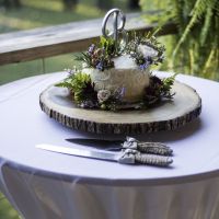 Show me your gorgeous cake designs