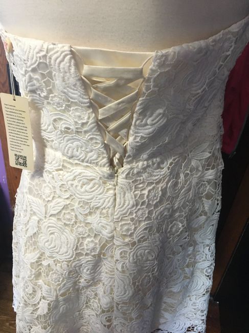 Second thoughts on non traditional wedding dress 3