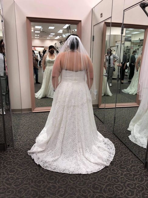 Suggestions please! 2