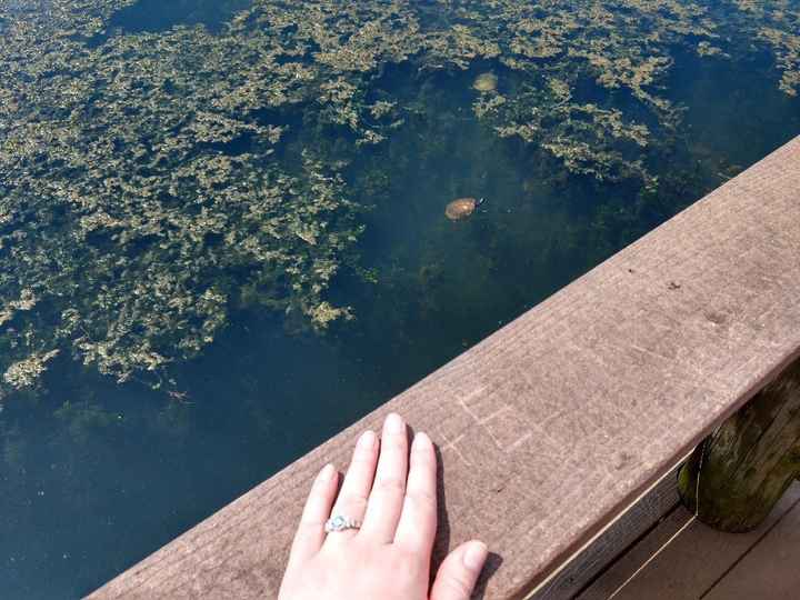 Brides of 2020!  Show us your ring! - 2