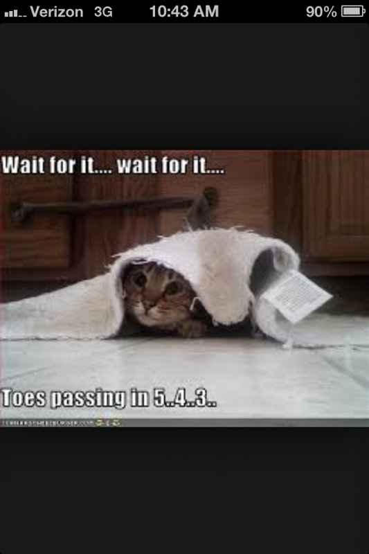 Because we can never have enough...