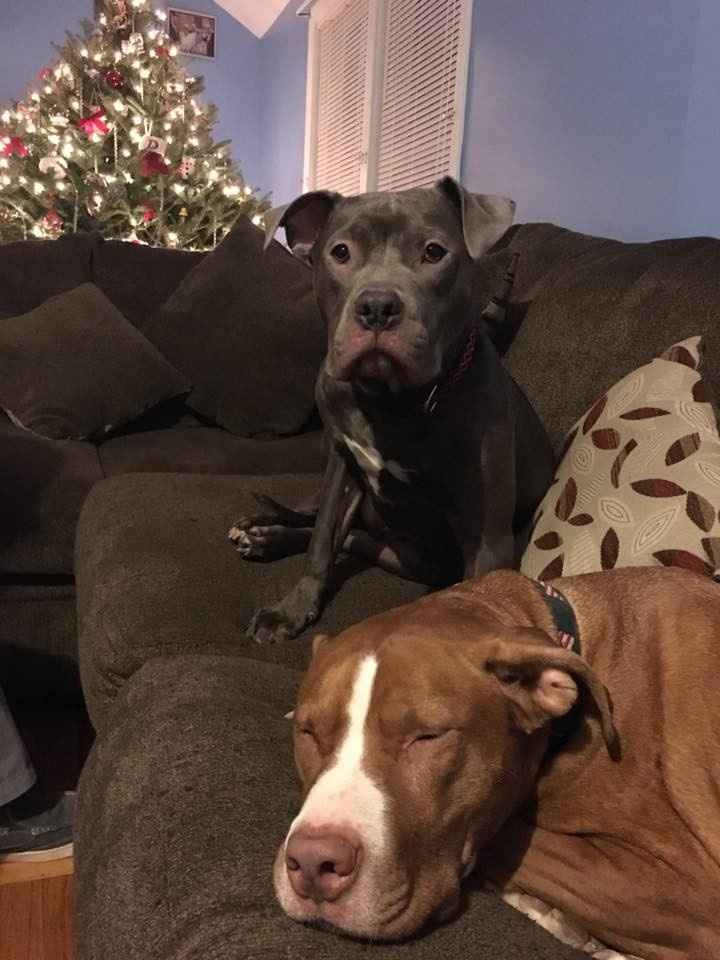 NWR: Show me your pups!