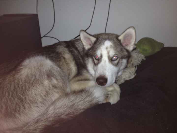 I realized I never introduced myself!