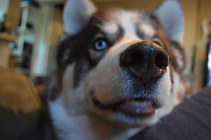 I realized I never introduced myself!