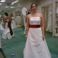 David's Bridal Brides - POST PICS OF YOUR DRESS!!!
