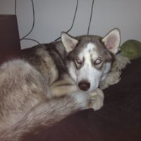 I realized I never introduced myself!