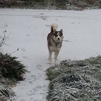 I realized I never introduced myself!