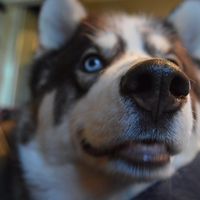 I realized I never introduced myself!