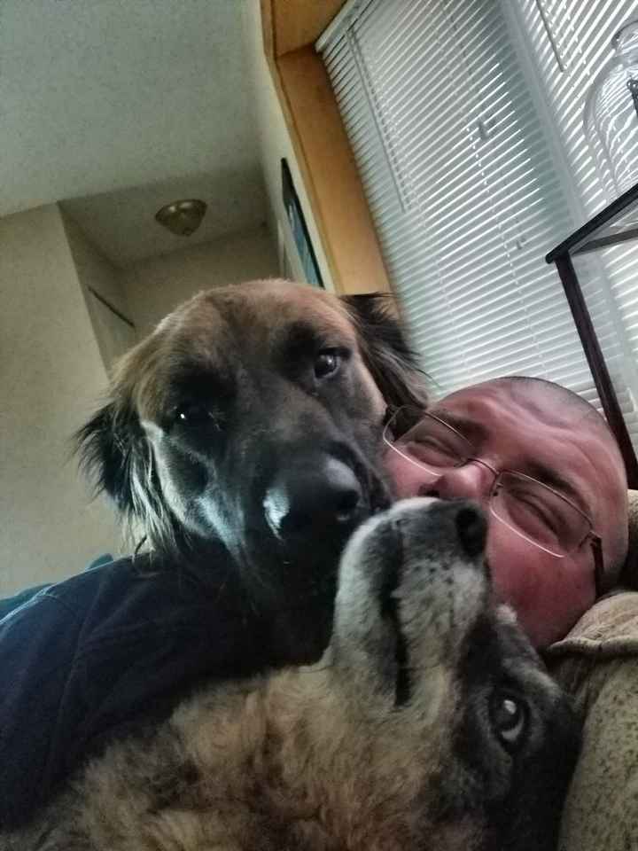 Four legged friends - 1
