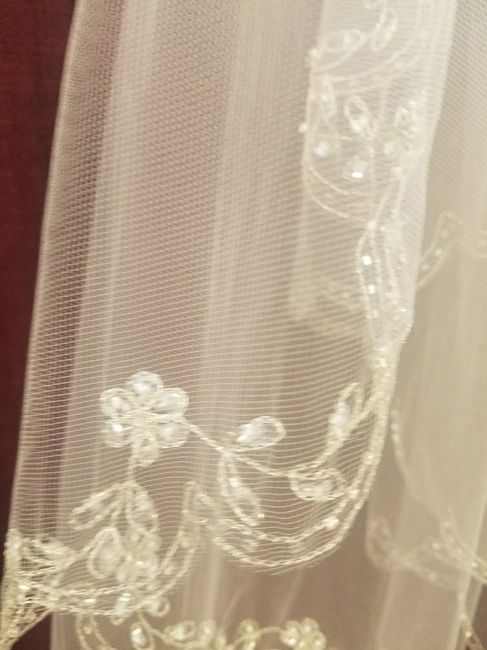 Veils - 2