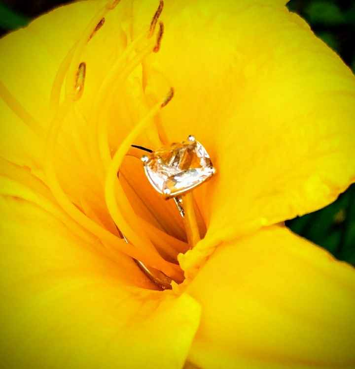  Show me your rings! - 1