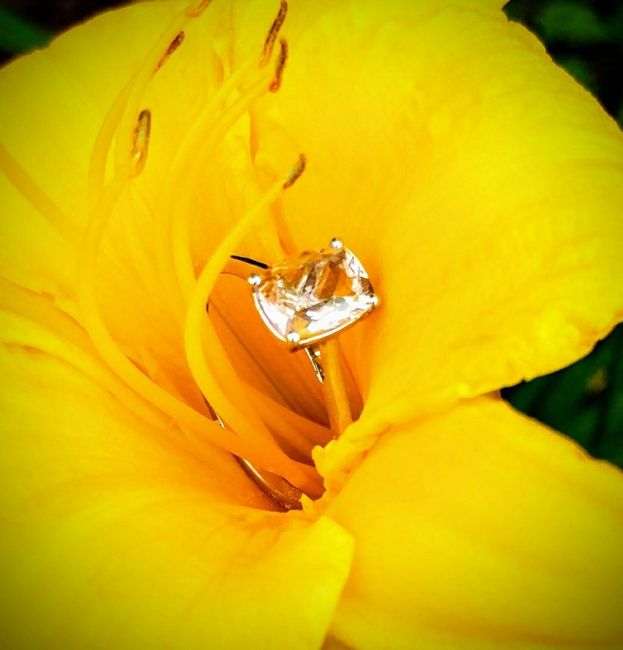 Show me your rings! - 1