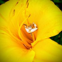  Show me your rings! - 1