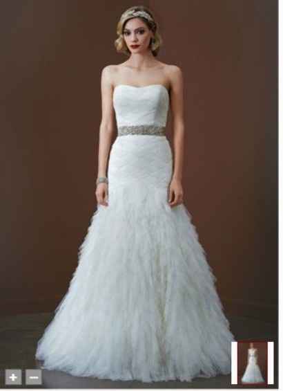 Hairpiece or Veil...