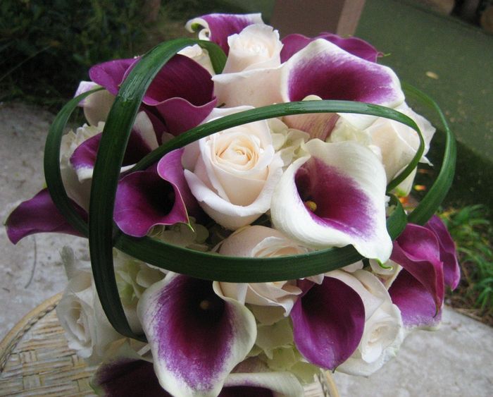 HELP!  I can't decide on flowers