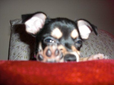 Weekend update
