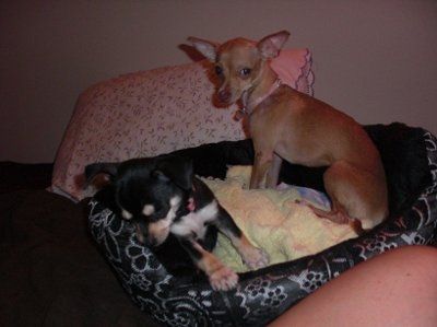 Weekend update