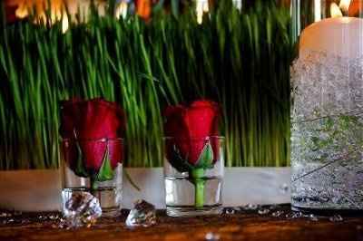 Bride on a small budget