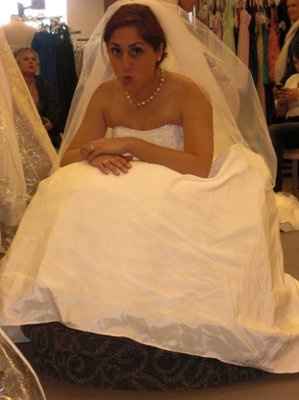 I GOT MY DRESS! (pic heavy)