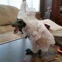 Cake Topper