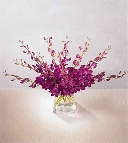 Opinions PLEASE!!! Venue question.