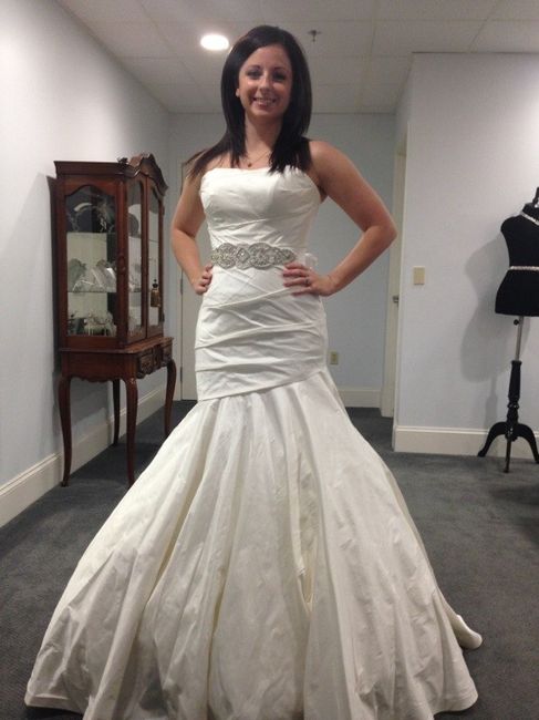 I finally took the plunge...Here is my Dress! Would you post yours?