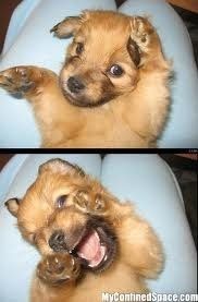 This is how I feel about wedding planning....