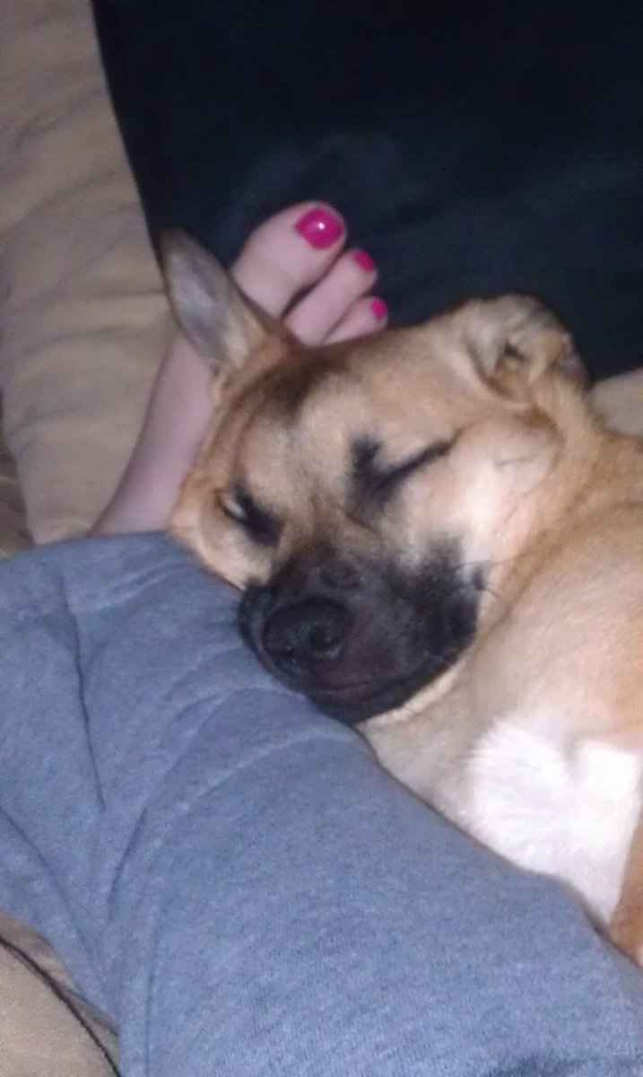 NWR - Sick puppy :*( pic