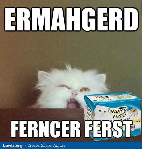 HILARIOUS cat pic (warning, don't be drinking anything!)