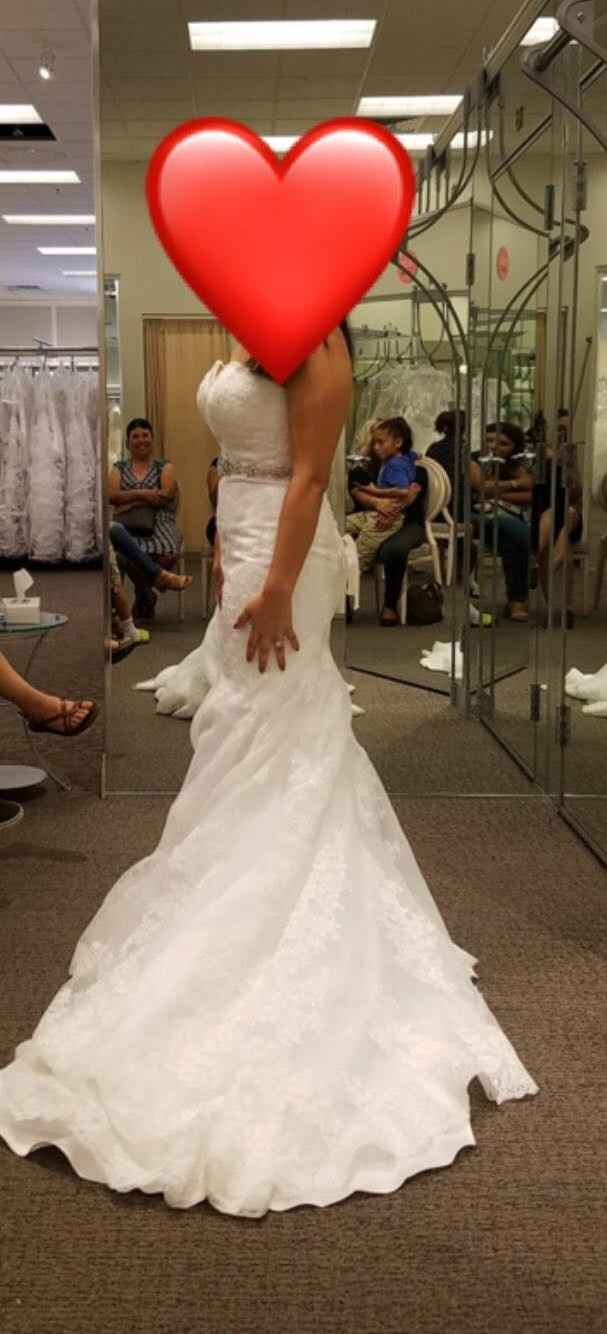 Have you said YES to the DRESS?