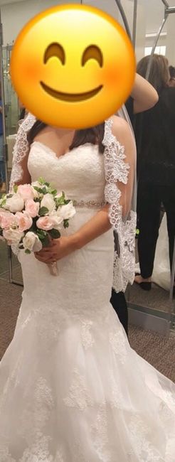 Have you said YES to the DRESS?
