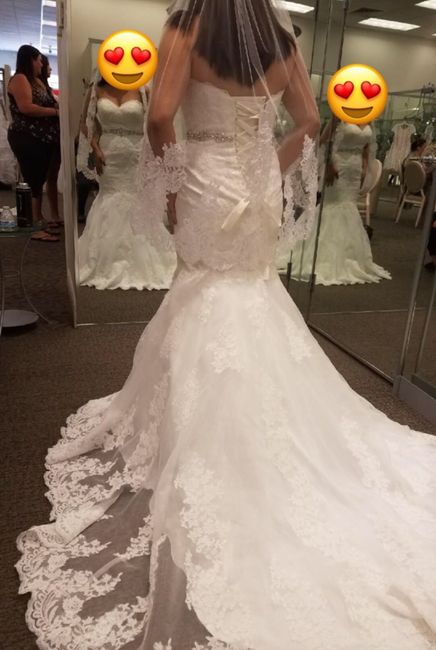 Have you said YES to the DRESS?