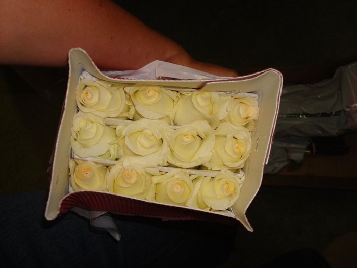 DIY Flower Guide