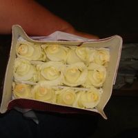 DIY Flower Guide