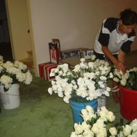 DIY Flower Guide