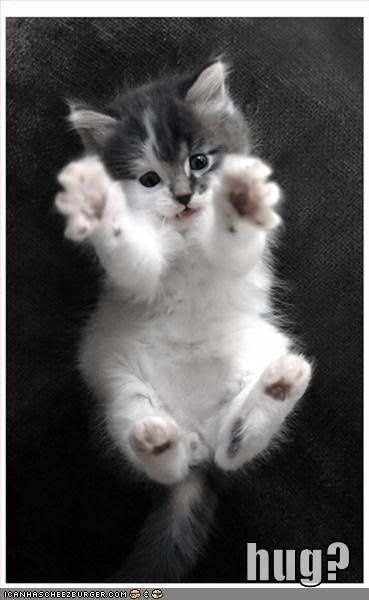 What a week! Who needs a hug?