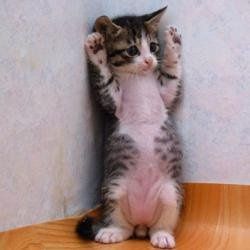 Because we can never have enough...