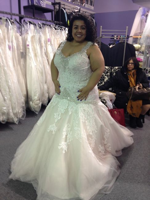 My dress came in!