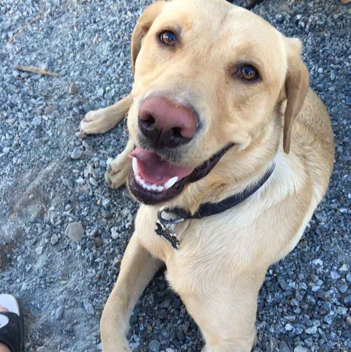 NWR: you and furbaby pic!