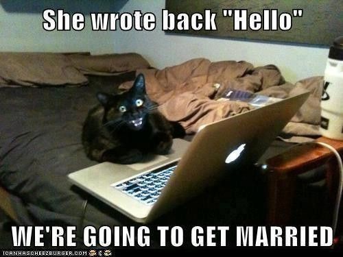 NWR:  Feline Friday :)