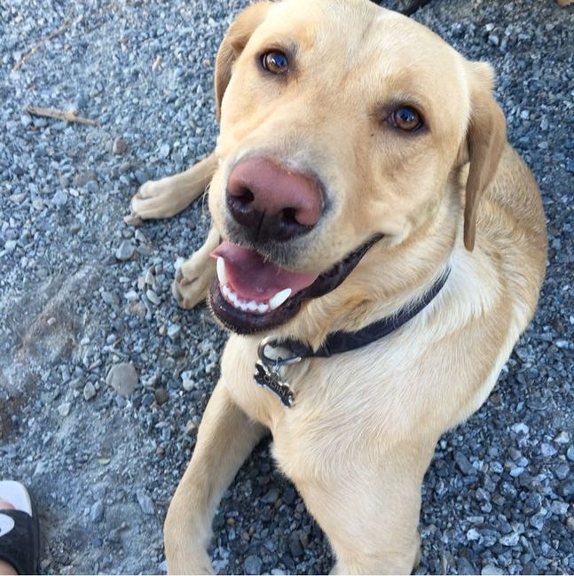 NWR: you and furbaby pic!