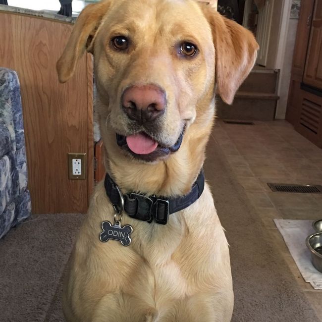 NWR: Puppy Friday!!