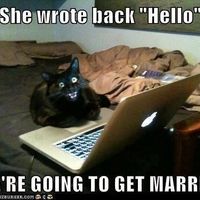 NWR:  Feline Friday :)