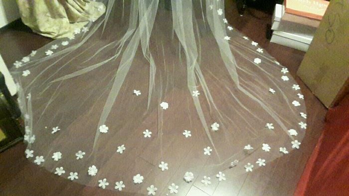 Veil Fail